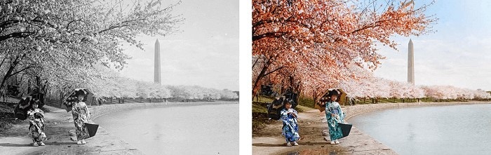 photoshop colorize image example