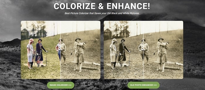 image colorizer interface