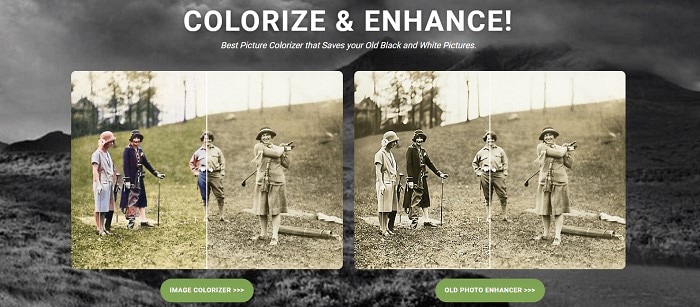 image colorizer 인터페이스