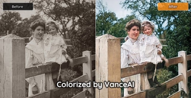 interface du coloriseur de photos vanceai