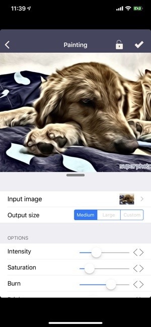 app super foto sfocatura dell'immagine 