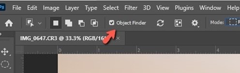 enable object finder option