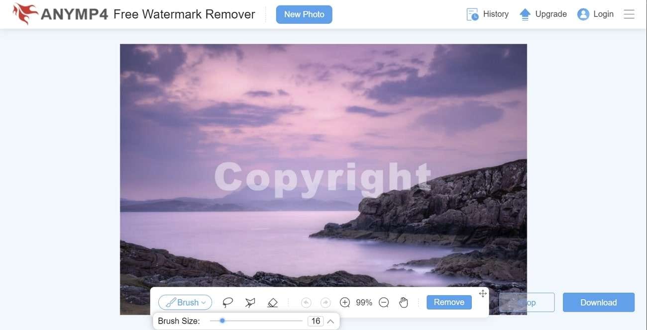 anymp4 watermark remover