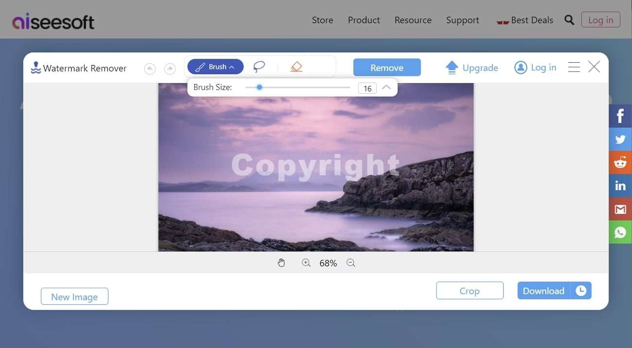 aiseesoft watermark remover