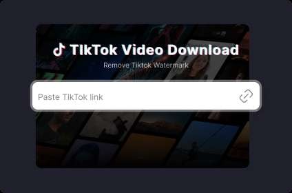 5-best-tiktok-slideshow-downloaders-7.jpg