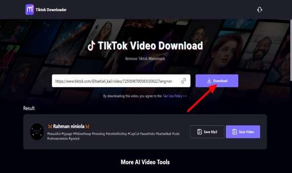 5-best-tiktok-slideshow-downloaders-8.jpg