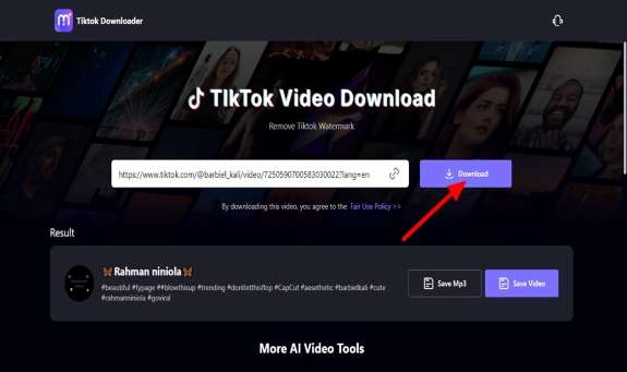 How To Watch TikTok Without App