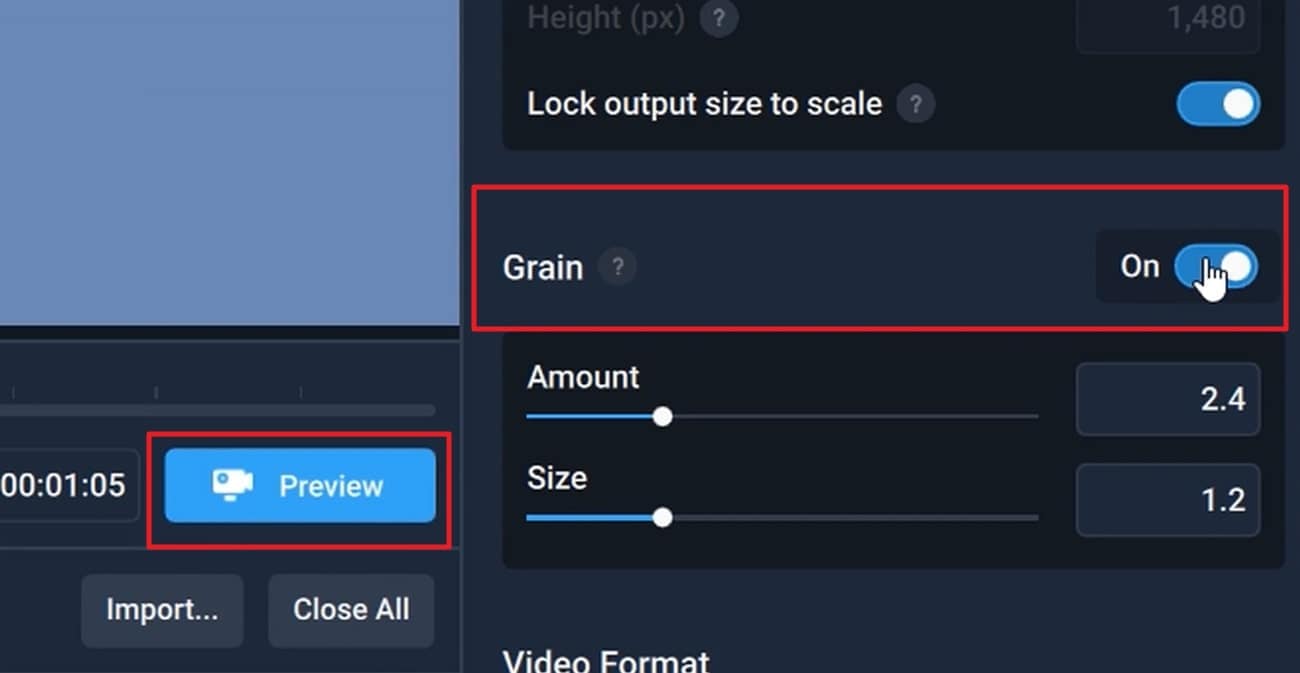 enable the grain feature