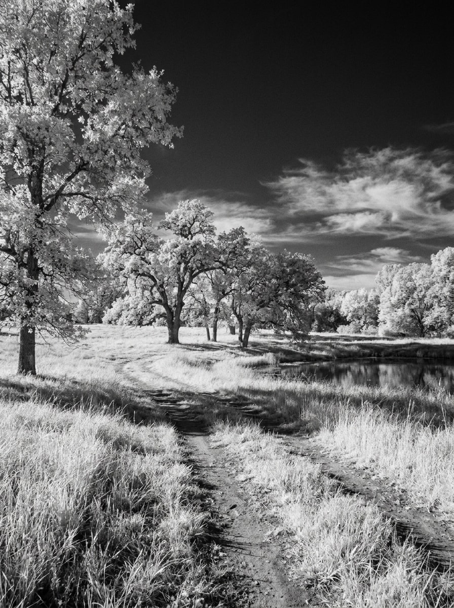 Black and White IR