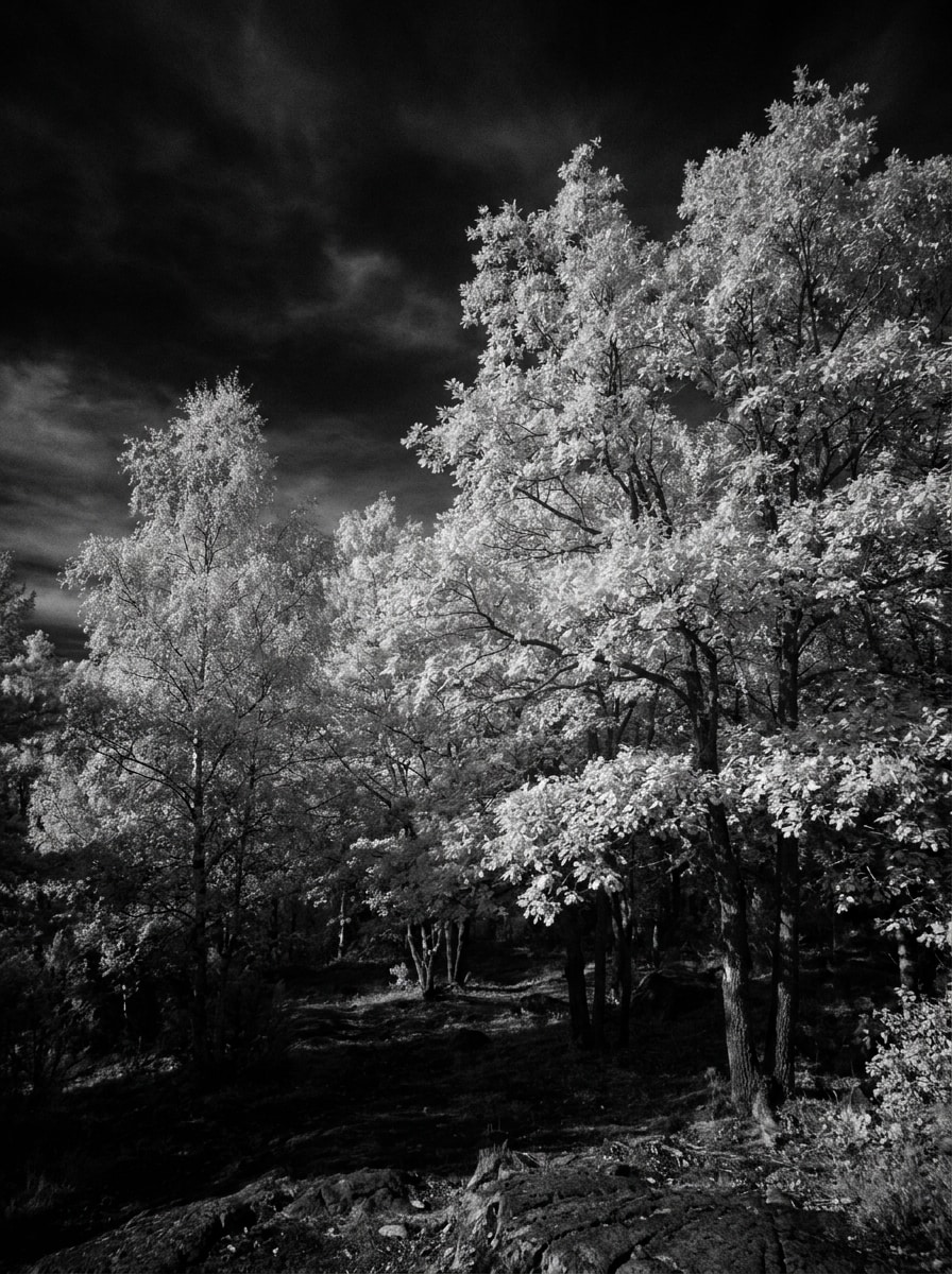 Deep Contrast Infrared