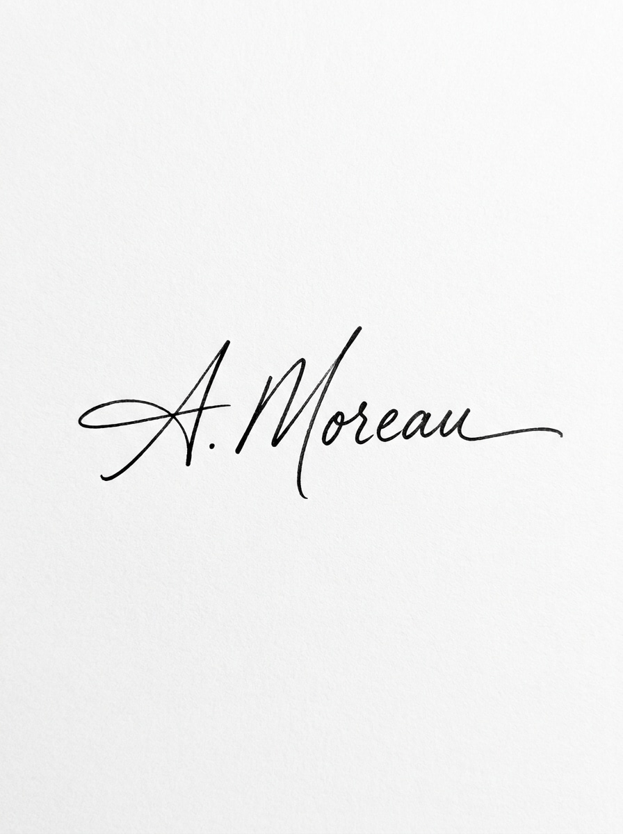Elegant Ink Signature on White