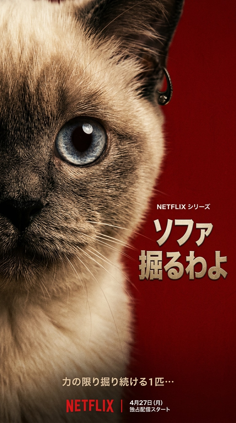 Netflix AI Meme Poster Cat