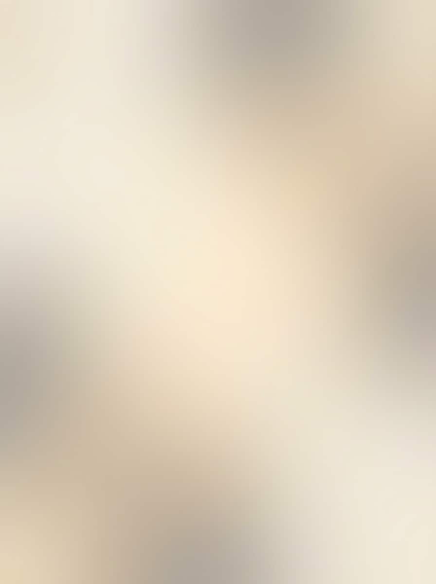 Luxury Neutral Gradient