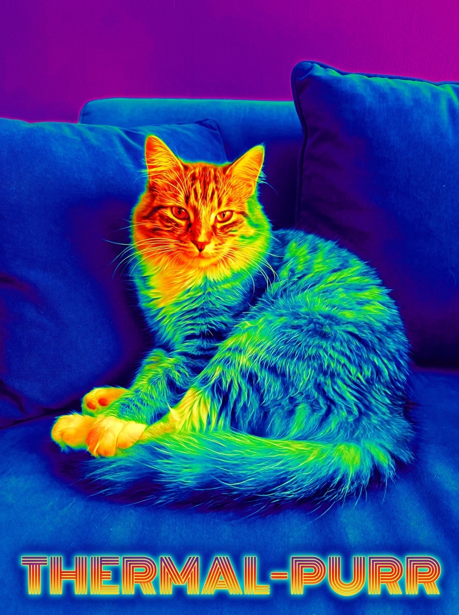 Pet Thermal Vision