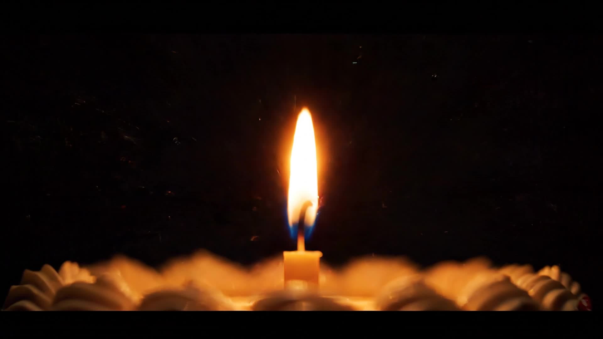 Birthday party images turned into video animation
