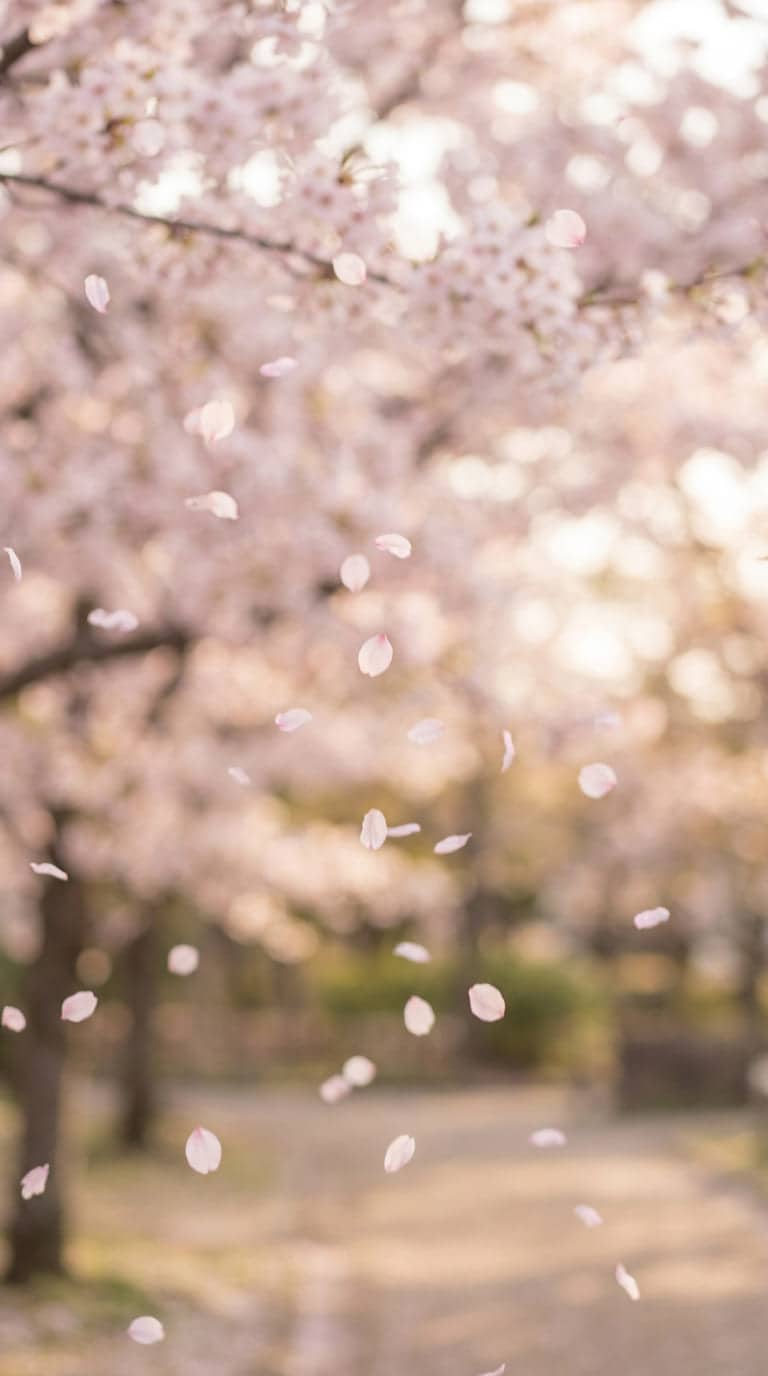 Pink cherry blossom Valentine wallpaper