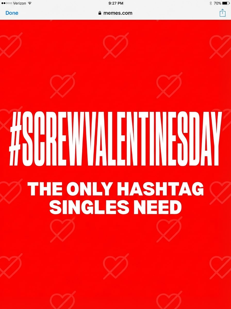 Screw Valentines Day Hashtag Meme