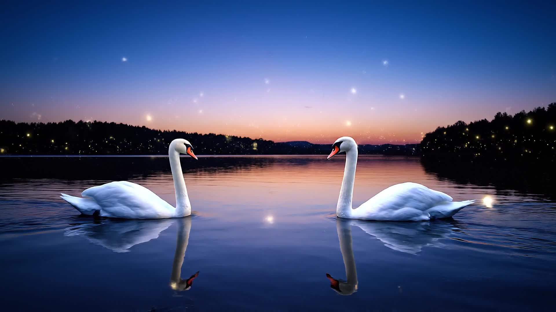 Animated couple photos with soft transitions