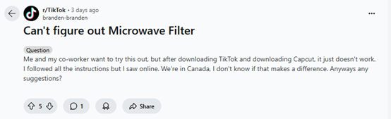 TikTok Microwave Filter Problem