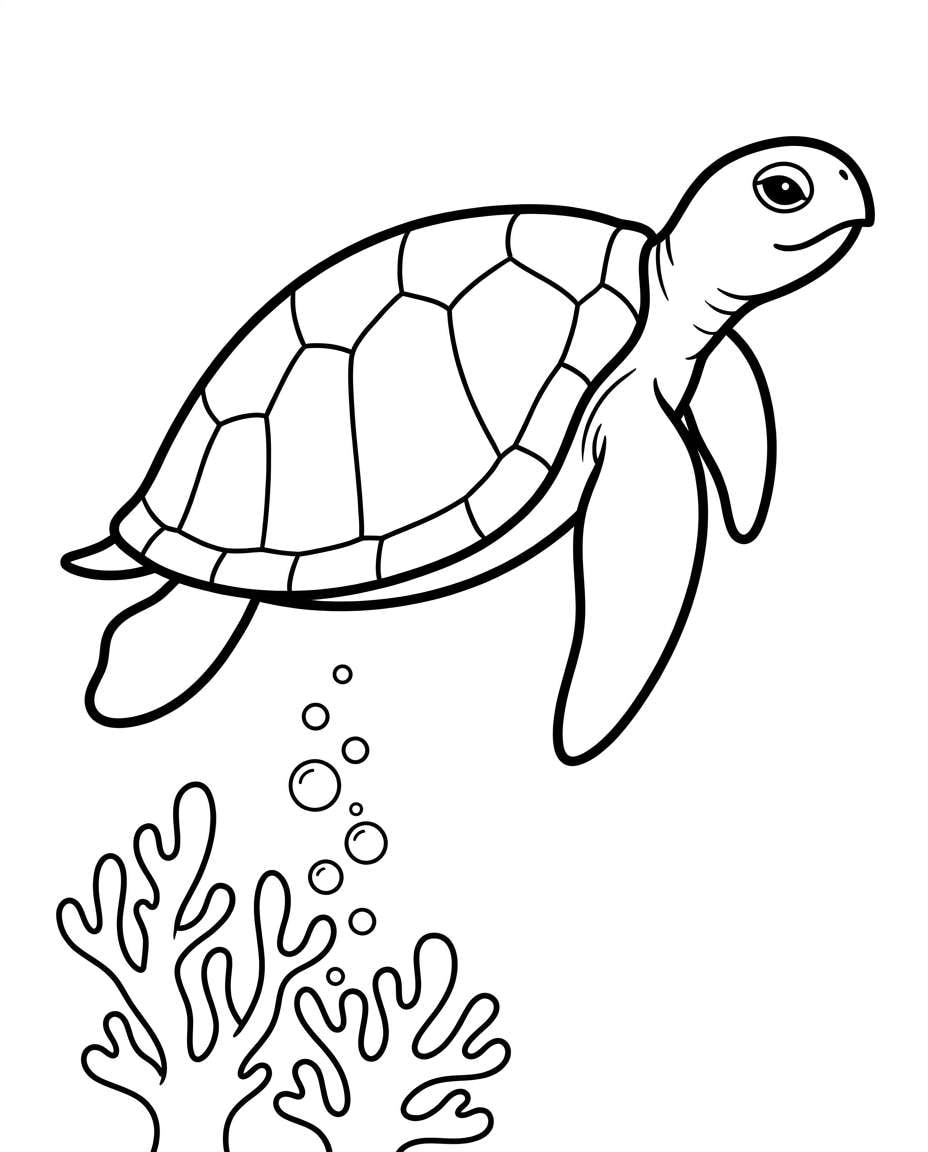sea turtle reef photo