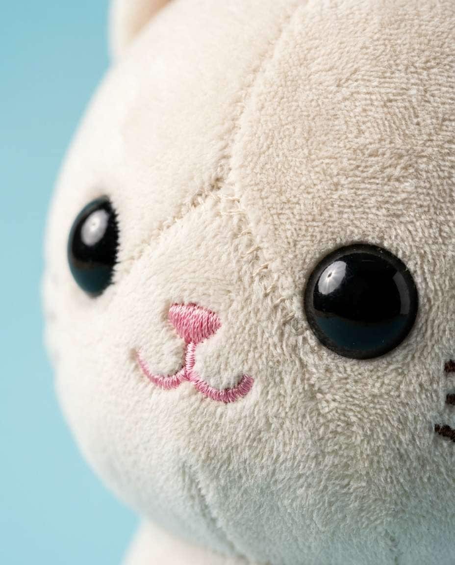 kawaii cat closeup photo