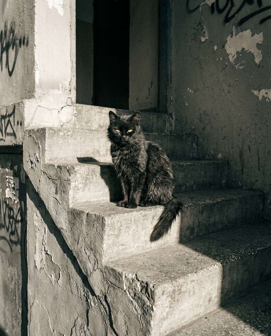 urban stairwell mood photo