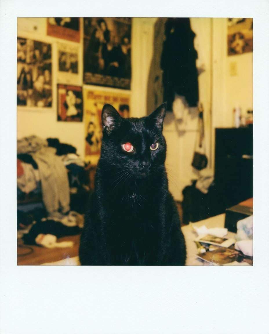 vintage film flash photo