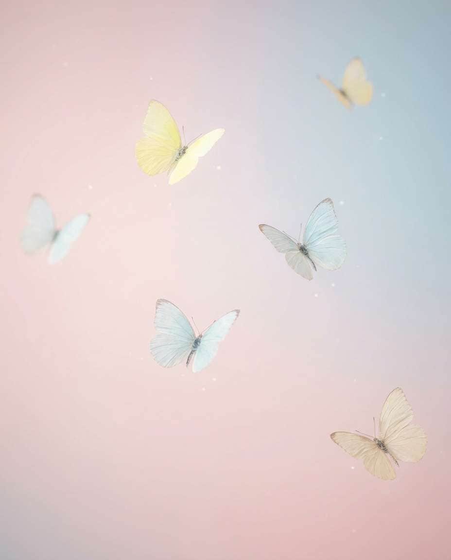 pastel aesthetic swarm photo