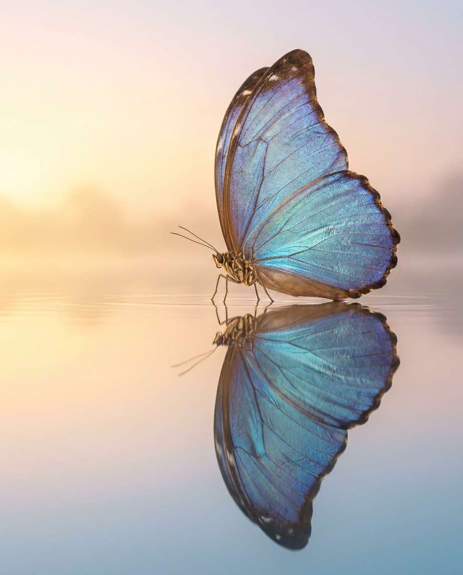 water surface reflection photo