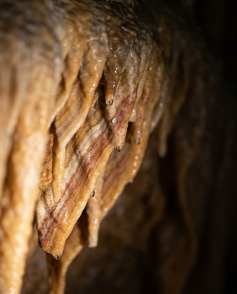 stalactite macro texture photo