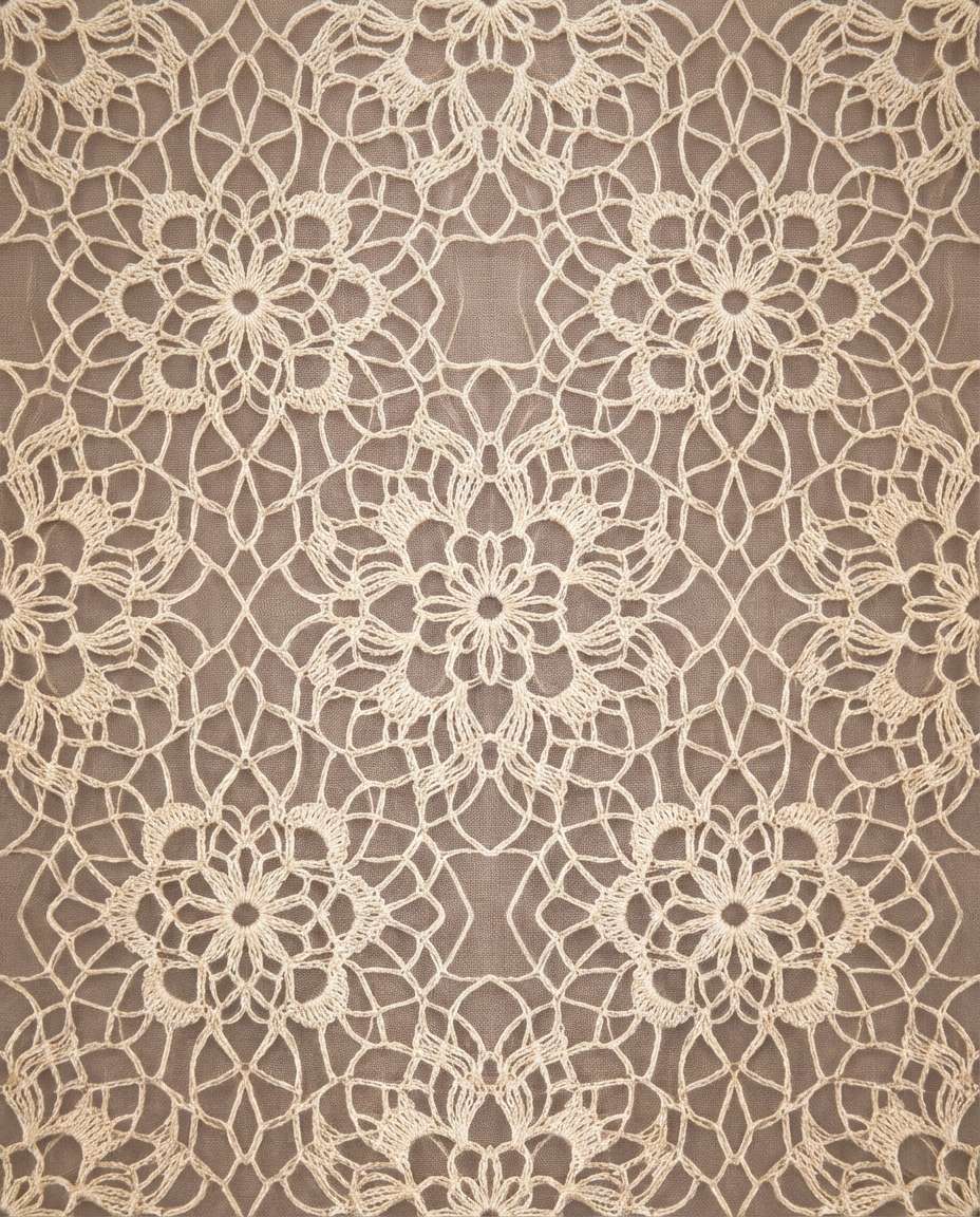 delicate lace doilies photo