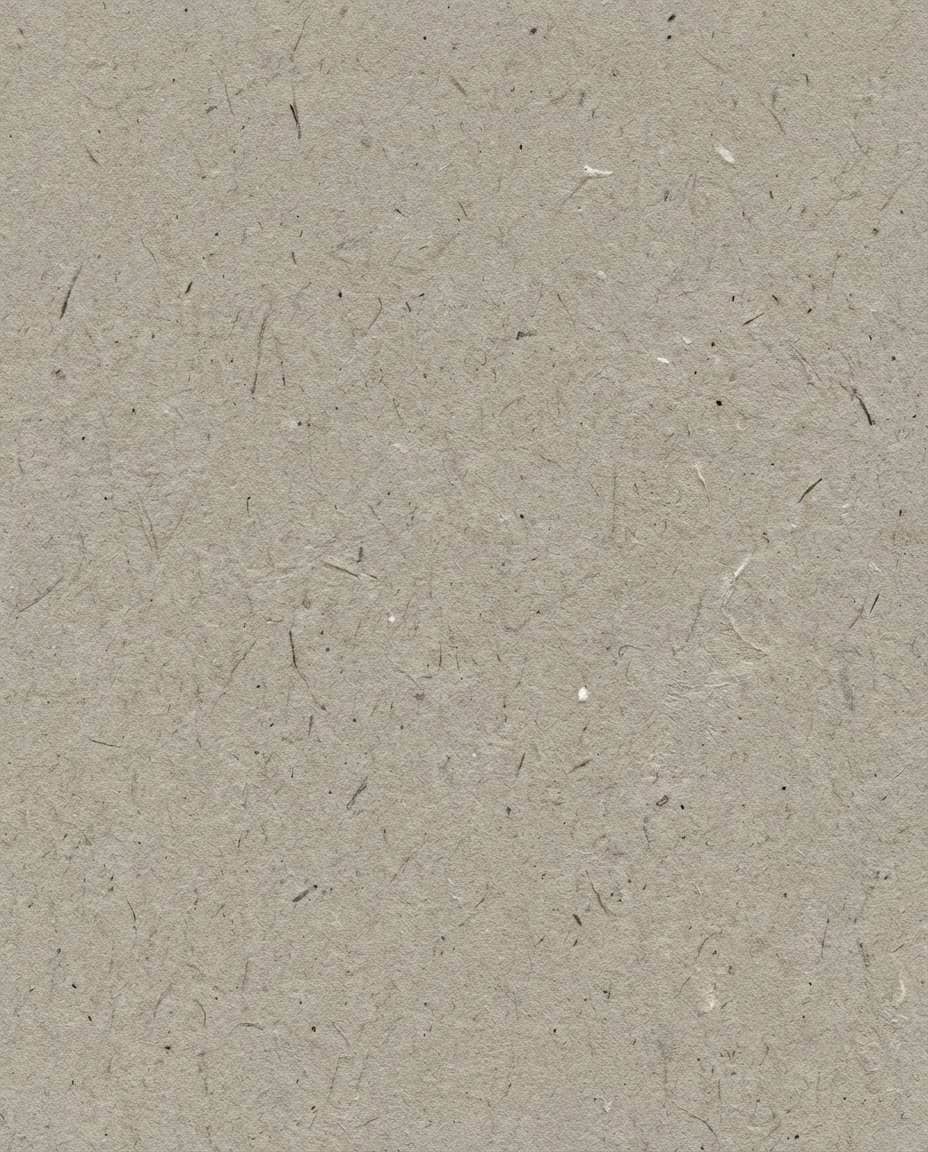 recycled paper fibers photo