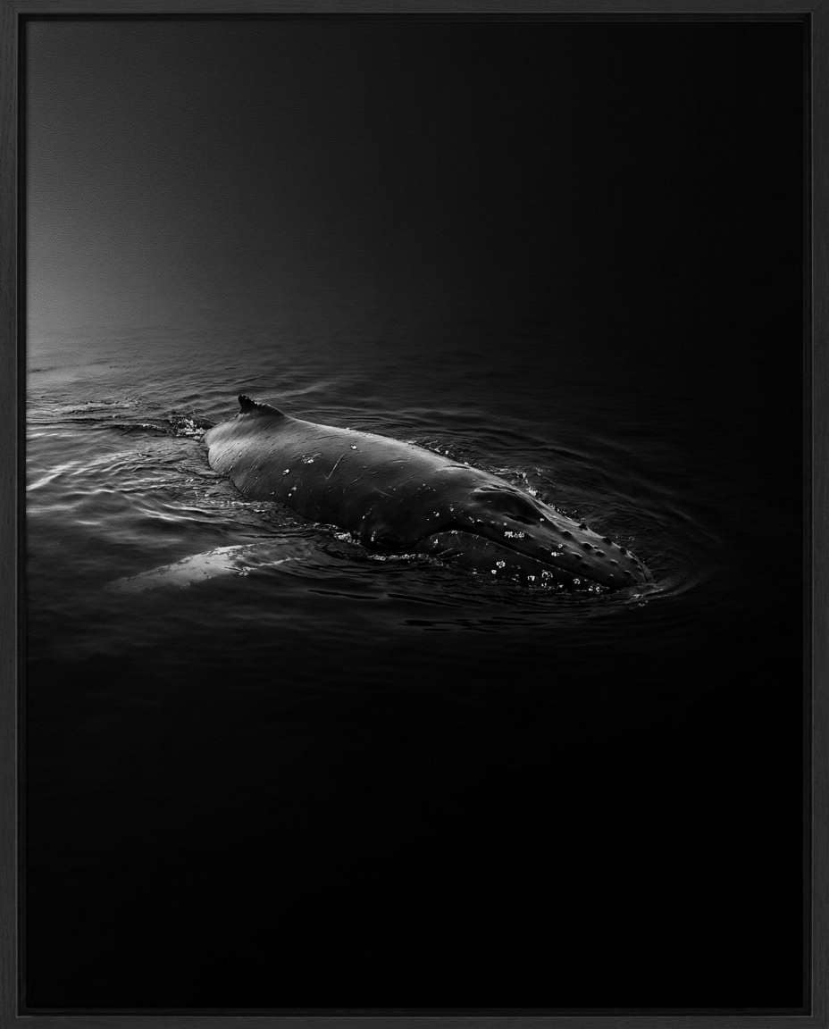 cinematic black water photo
