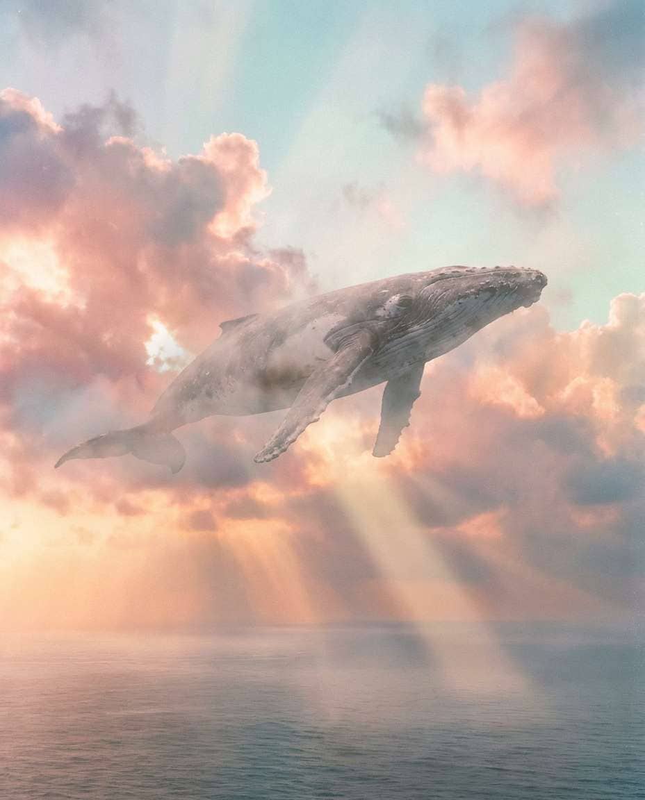 fantasy sky photo