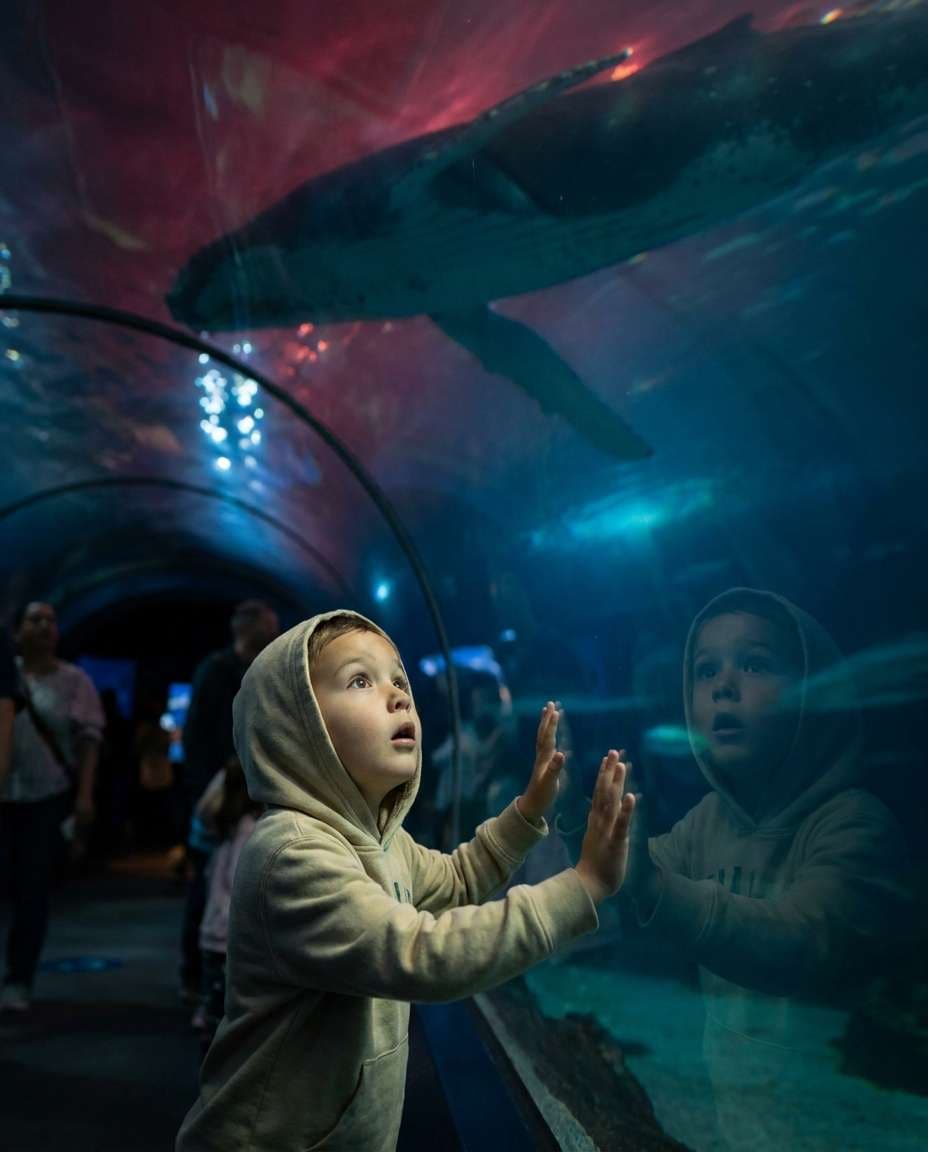 aquarium wonder photo
