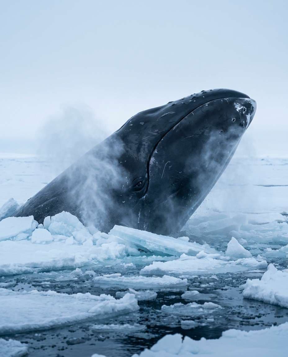 arctic ice channel photo