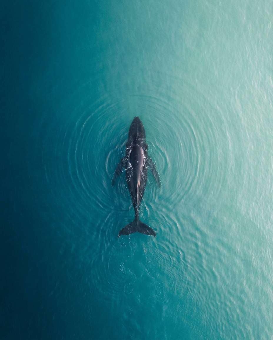 drone ocean pattern photo