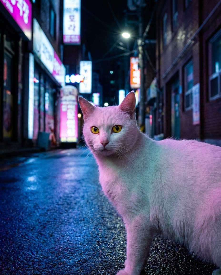 neon city night photo