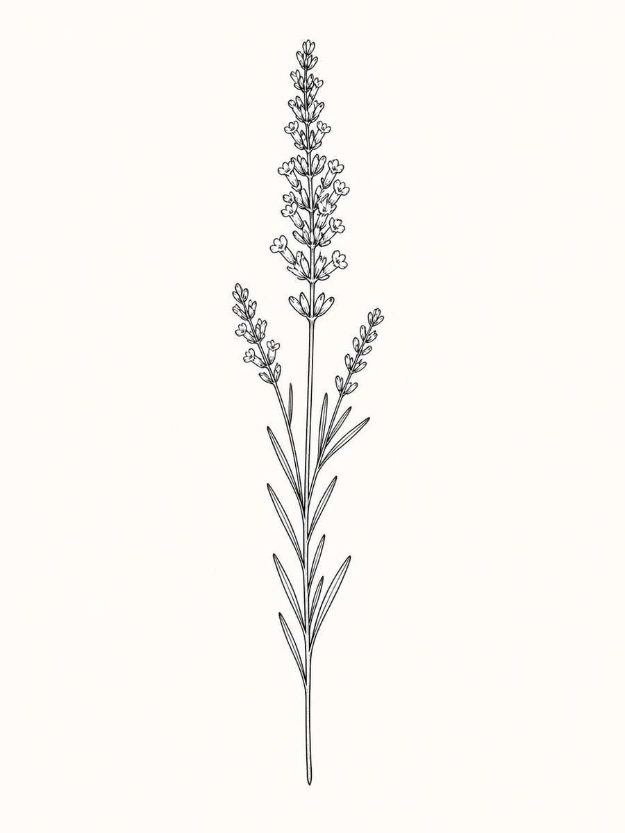 Lavender Sprig Tattoo photo