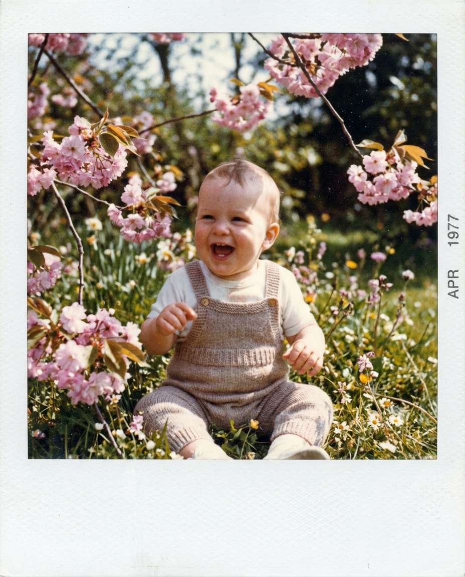 polaroid spring snapshot photo
