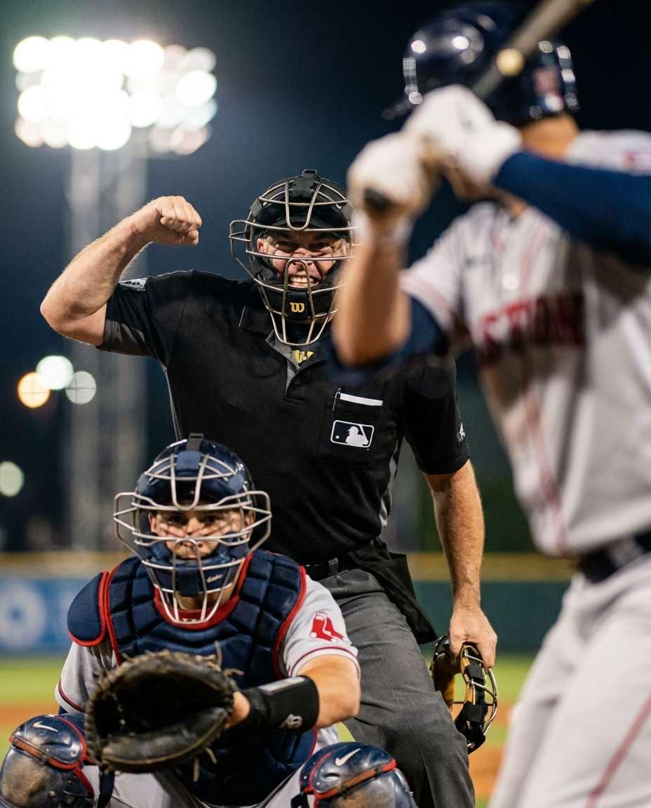 umpire call closeup photo