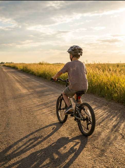 sunlit country road photo