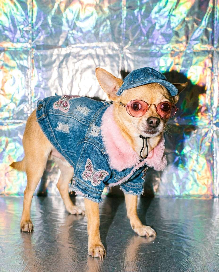 y2k denim set photo