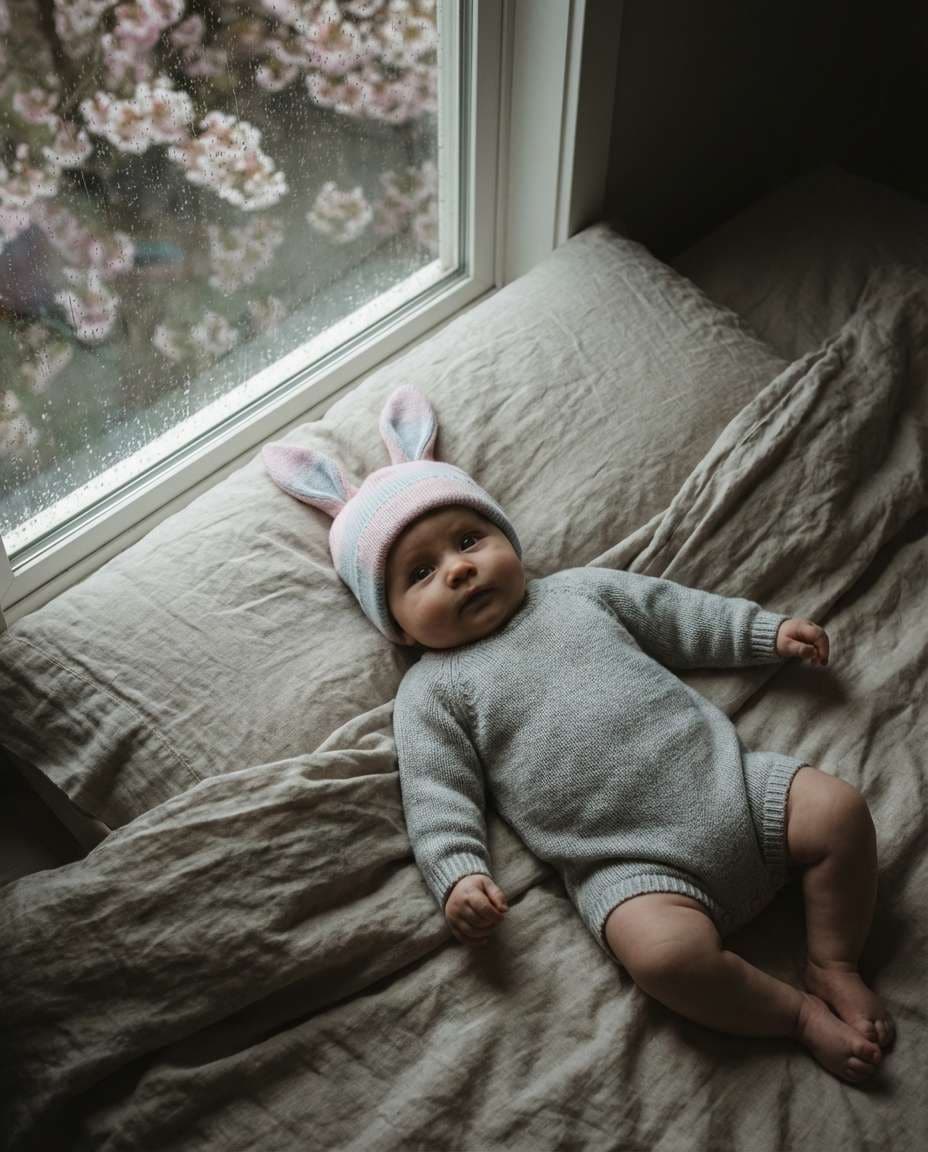 spring rain window photo