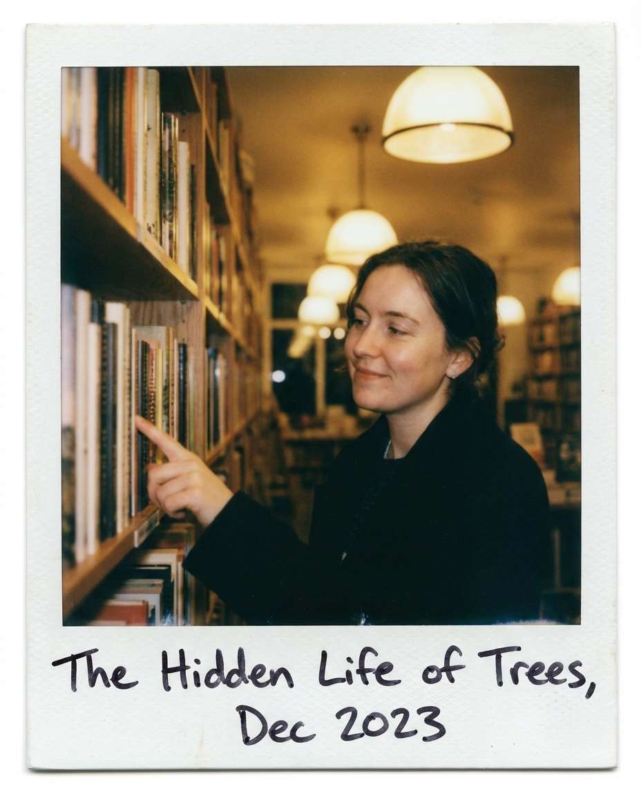 bookstore quiet smile photo