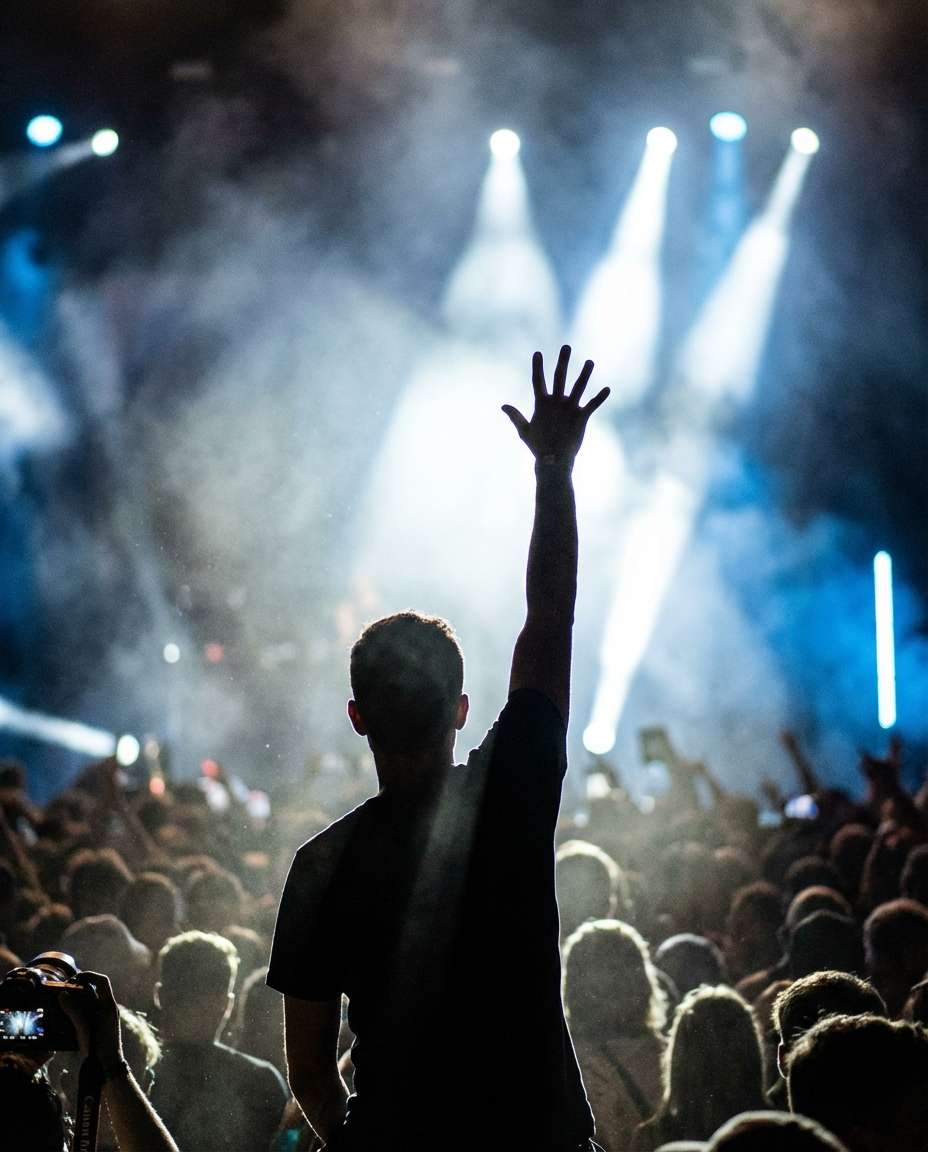 concert crowd hand photo