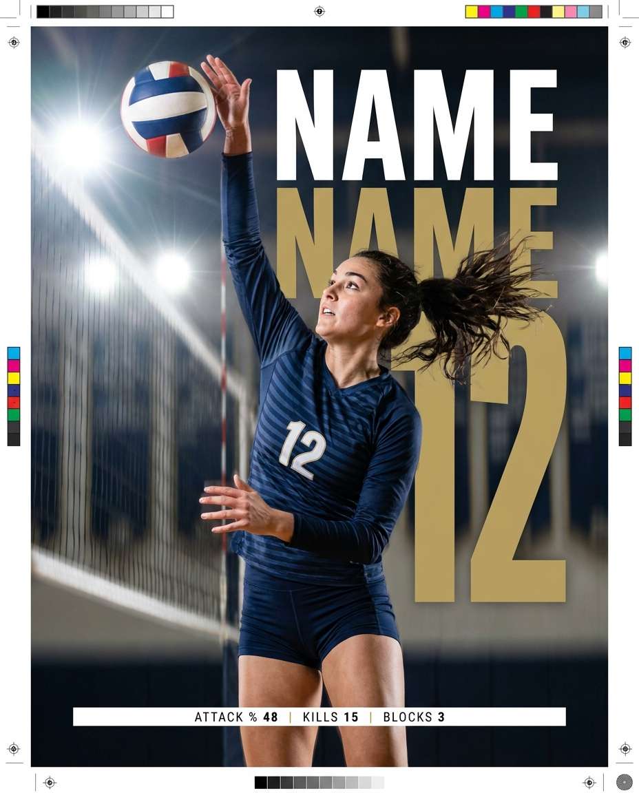 volleyball midair photo