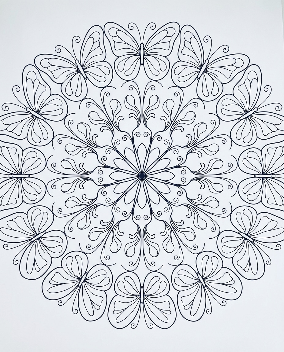 butterfly wings photo