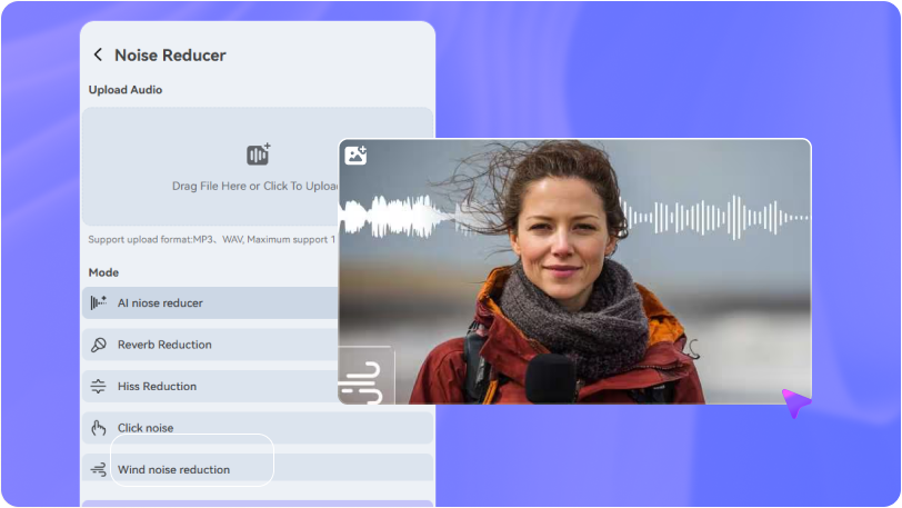 select the wind noise reduction tab