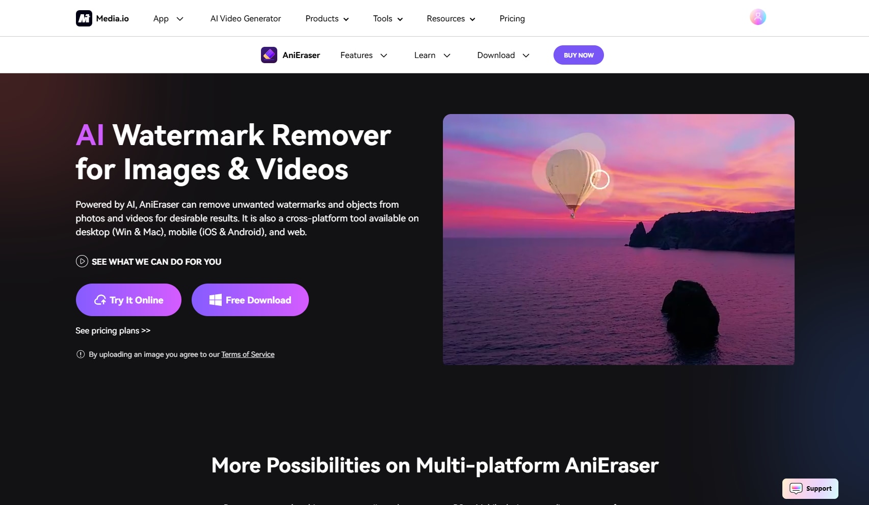 media io anieraser 